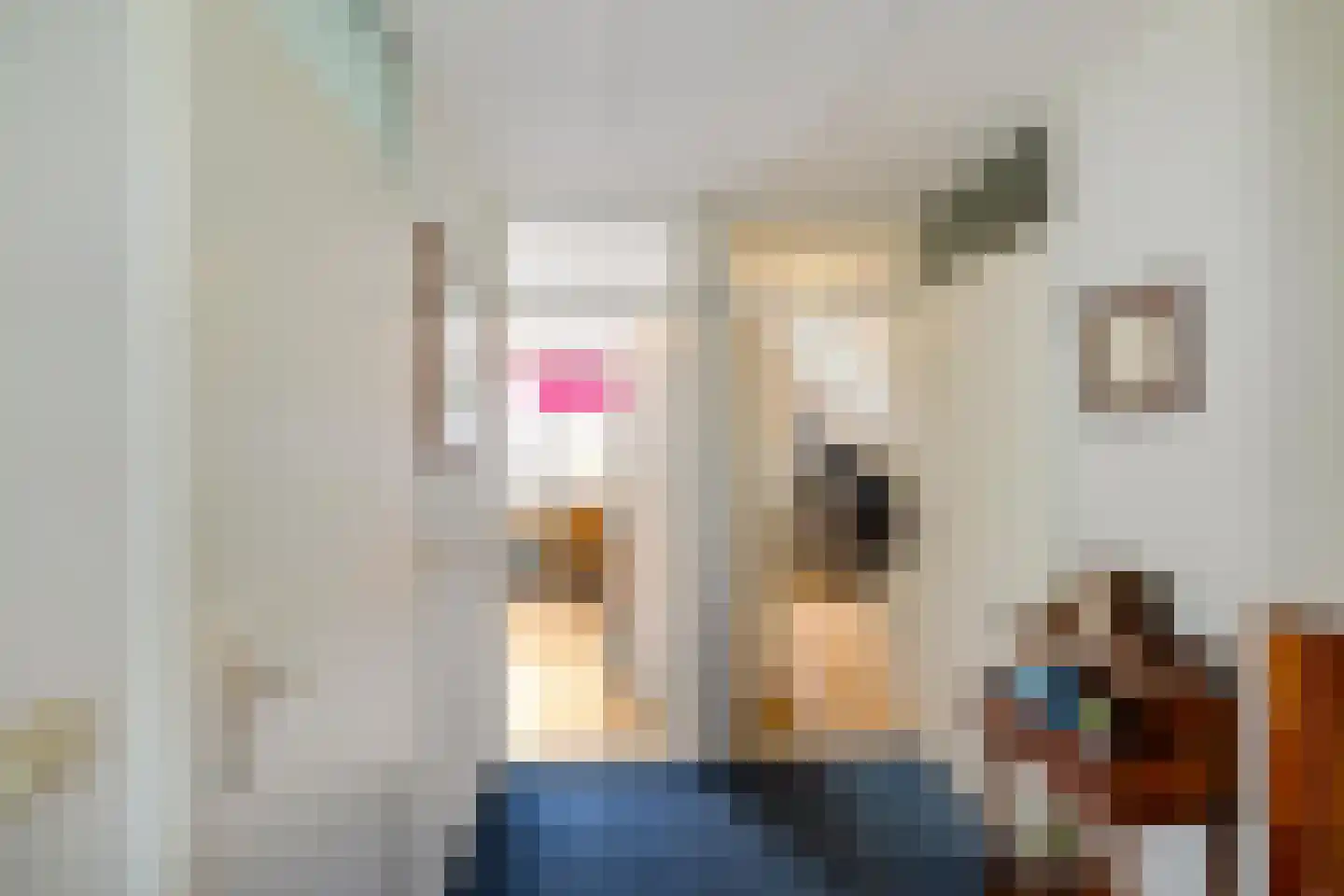 de Losplaats 4 Peize thumbnail 21