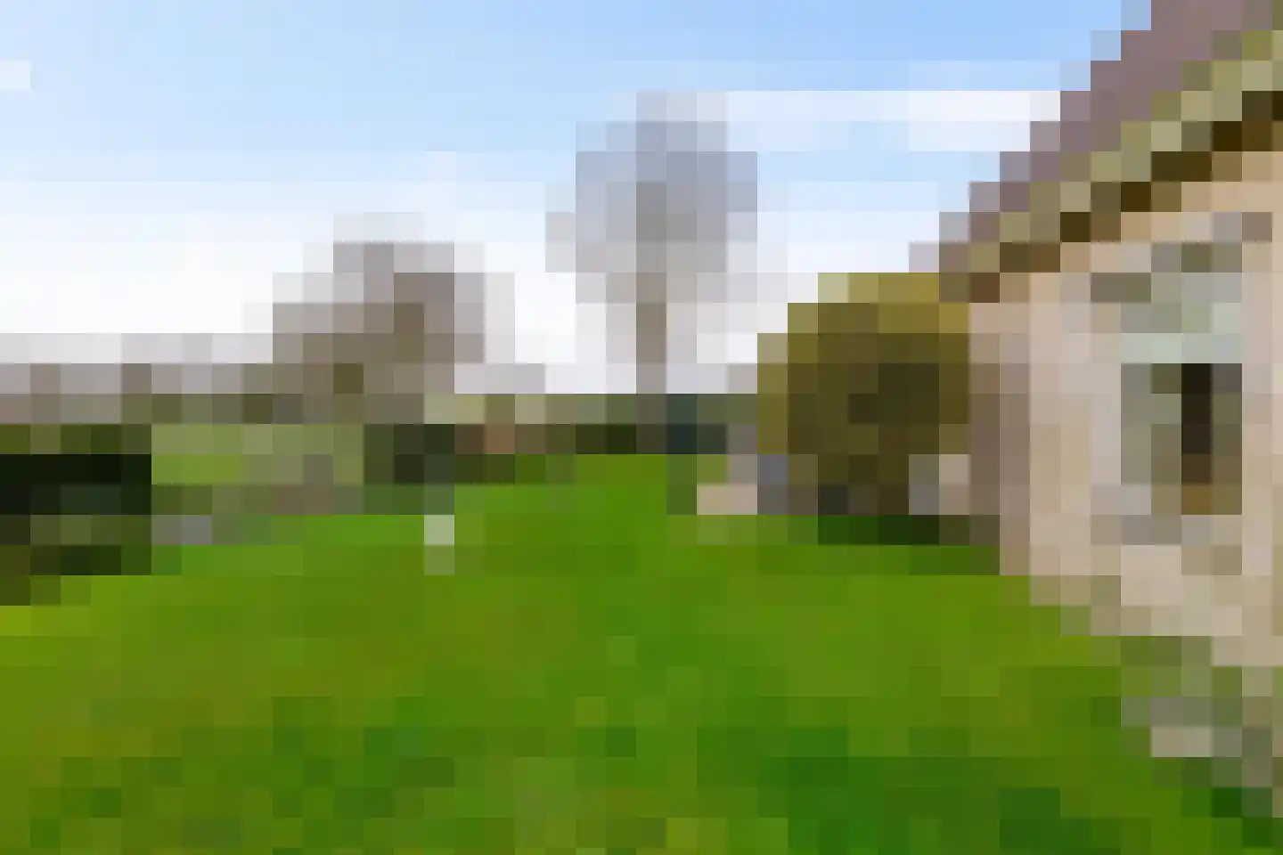 de Losplaats 4 Peize thumbnail 33