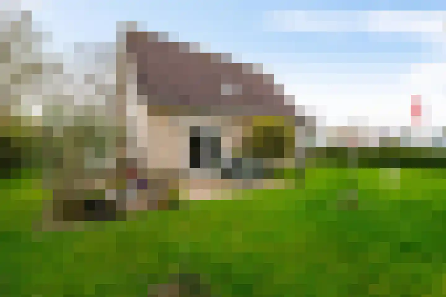 de Losplaats 4 Peize thumbnail 34