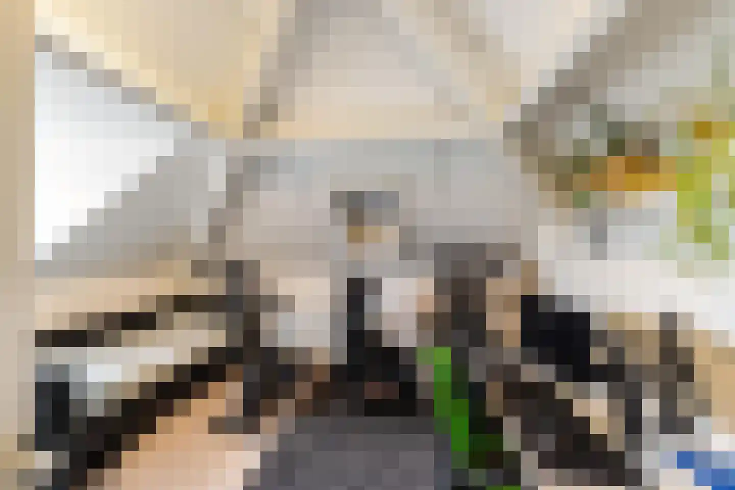 de Losplaats 6 Peize thumbnail 26