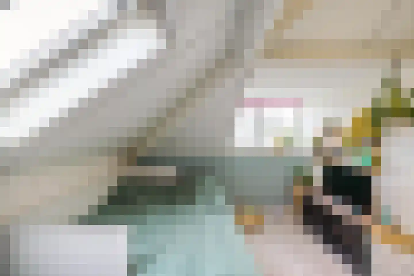 de Losplaats 6 Peize thumbnail 27