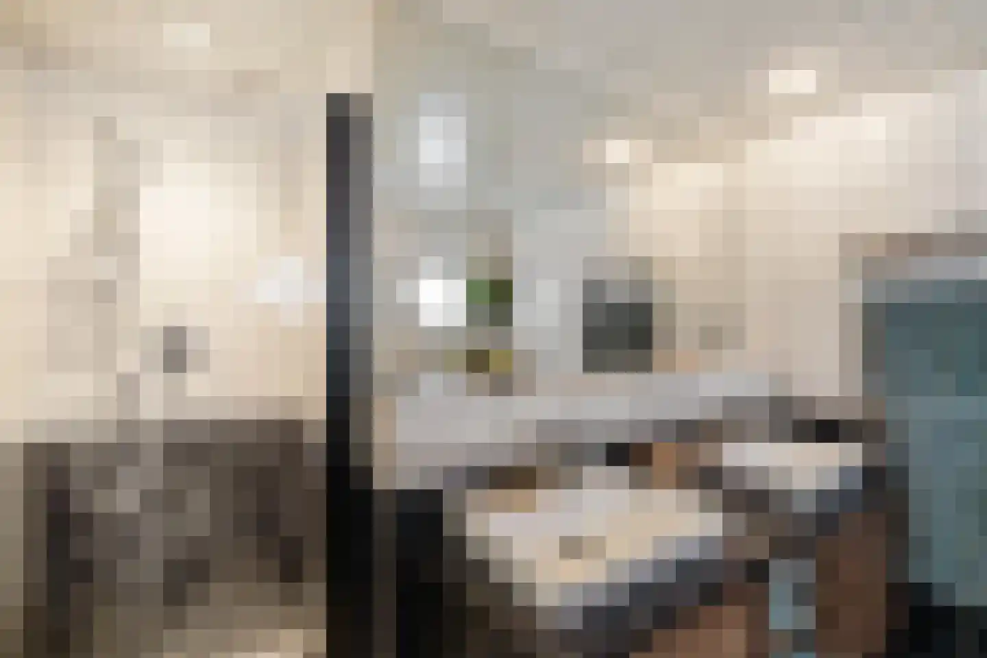 de Losplaats 6 Peize thumbnail 29