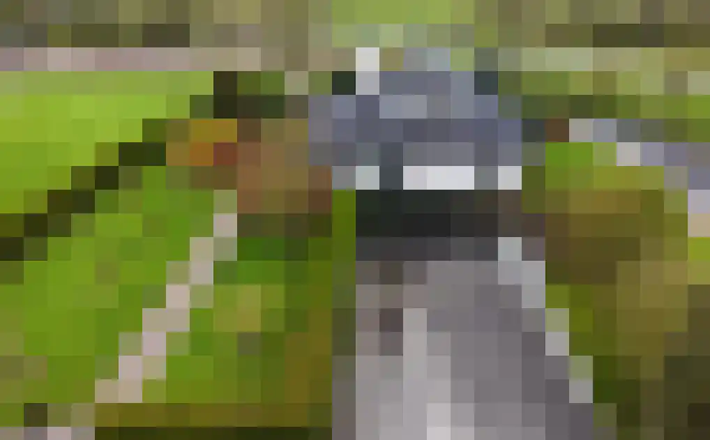 de Losplaats 6 Peize thumbnail 36