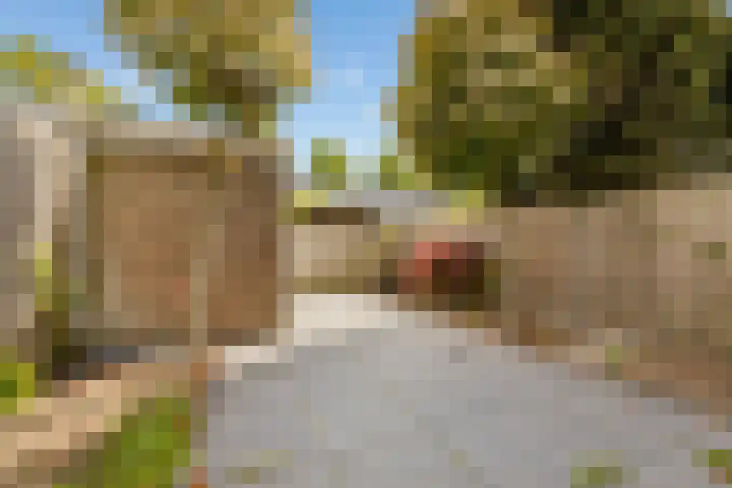 De Louterlaan 10 Utrecht thumbnail 12