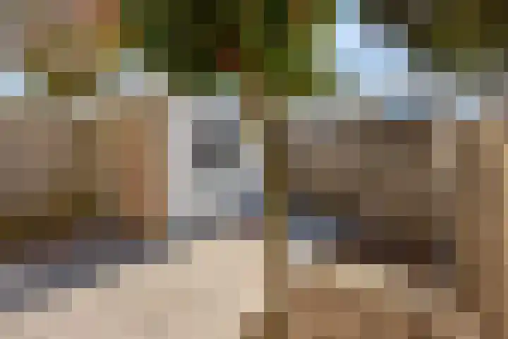 De Louterlaan 10 Utrecht thumbnail 13