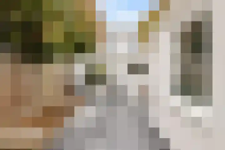 De Louterlaan 10 Utrecht thumbnail 14
