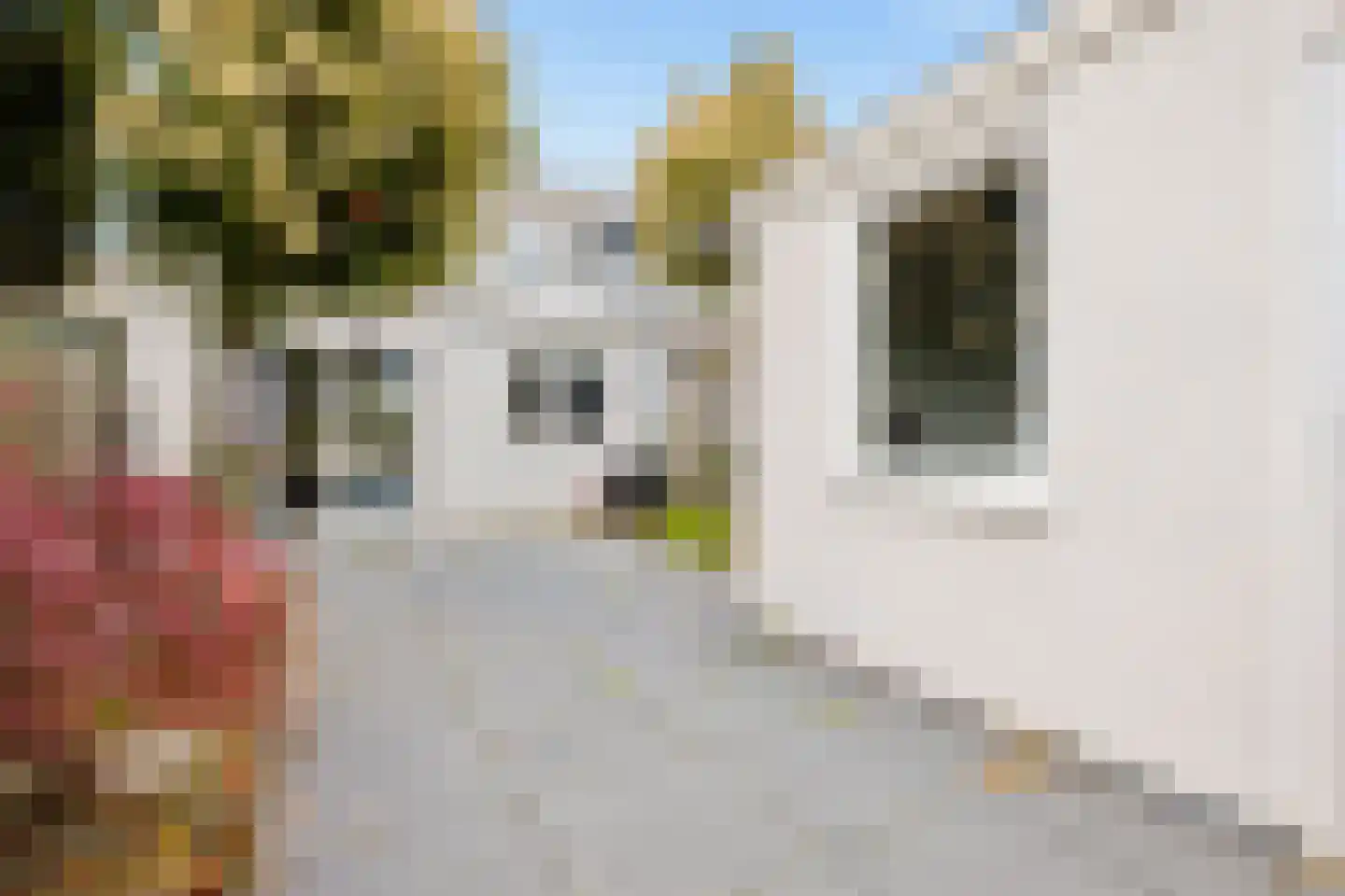 De Louterlaan 10 Utrecht thumbnail 15