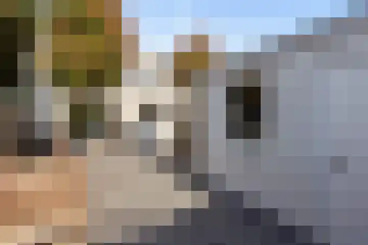 De Louterlaan 10 Utrecht thumbnail 16