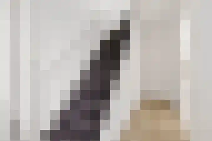De Louterlaan 10 Utrecht thumbnail 18