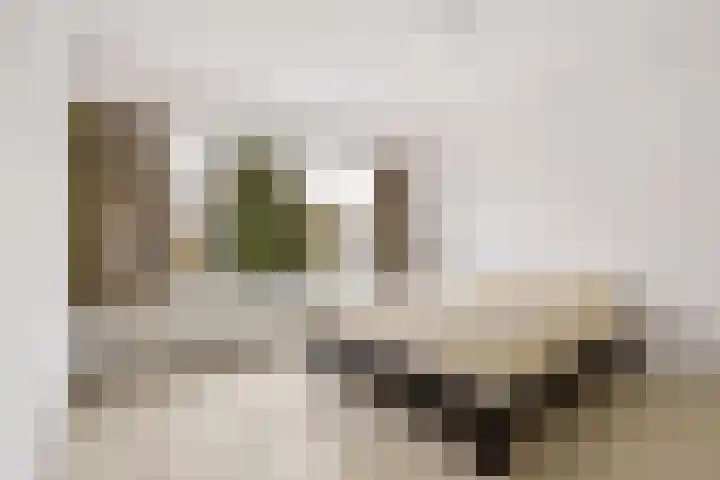 De Louterlaan 10 Utrecht thumbnail 20