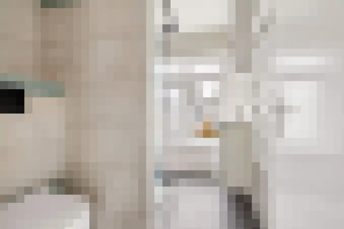 De Louterlaan 10 Utrecht thumbnail 22