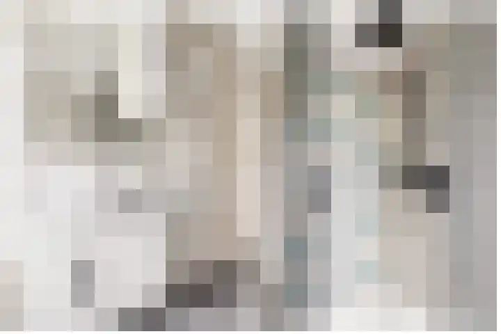De Louterlaan 10 Utrecht thumbnail 25