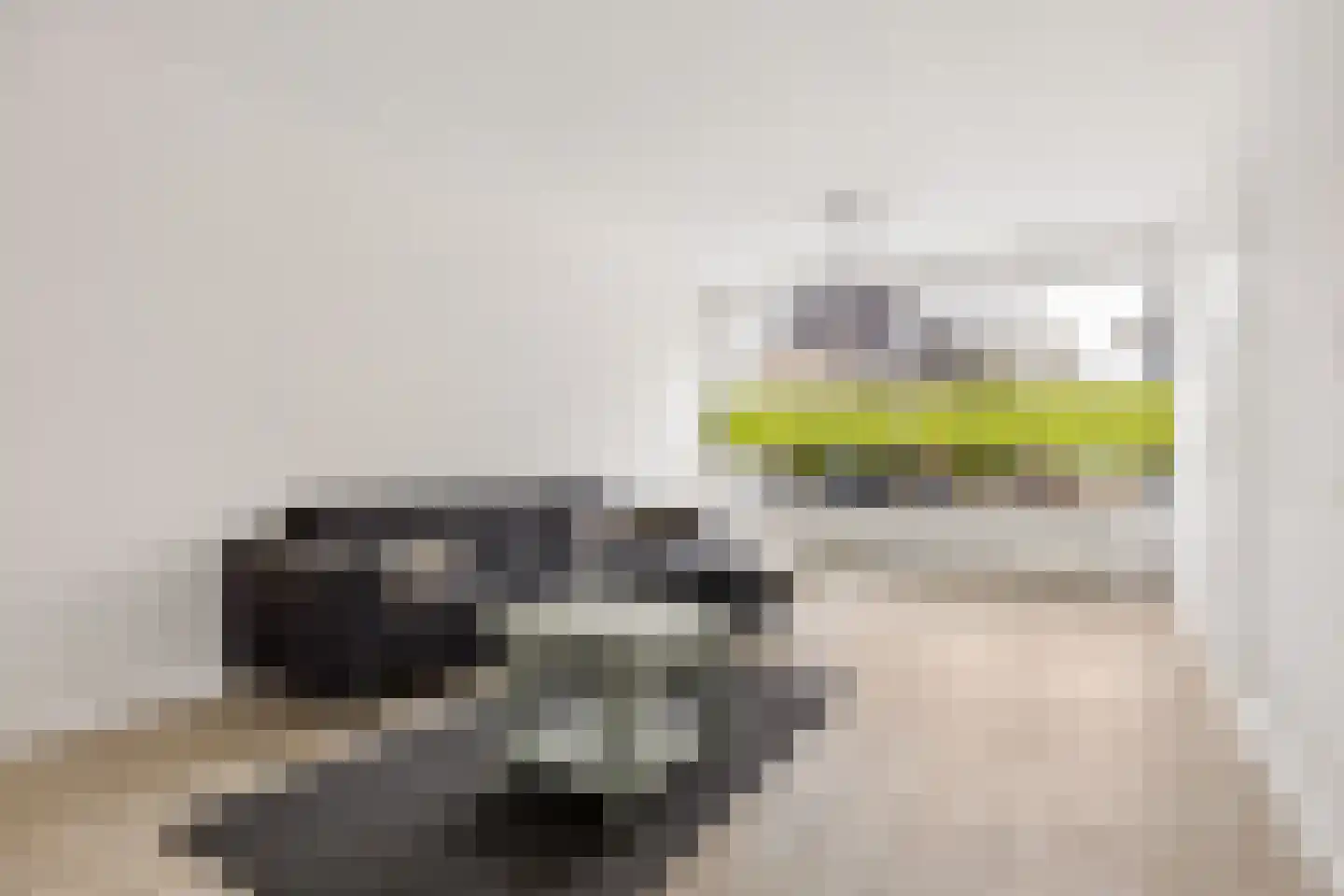 De Louterlaan 10 Utrecht thumbnail 4