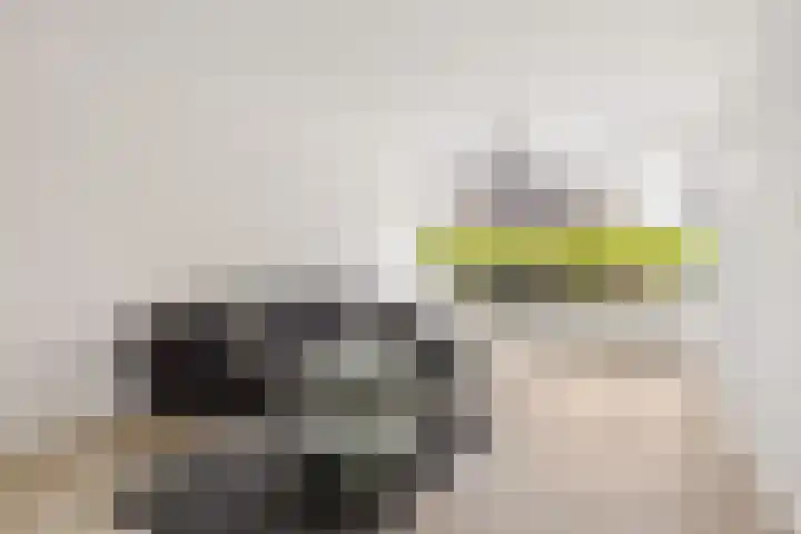De Louterlaan 10 Utrecht thumbnail 4