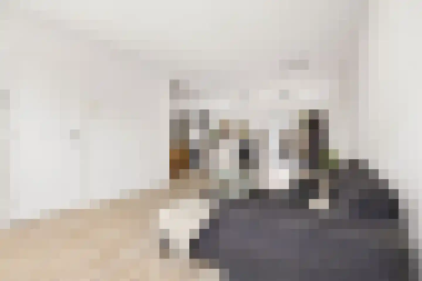 De Louterlaan 10 Utrecht thumbnail 6