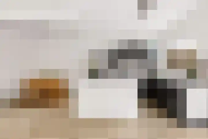 De Louterlaan 10 Utrecht thumbnail 7