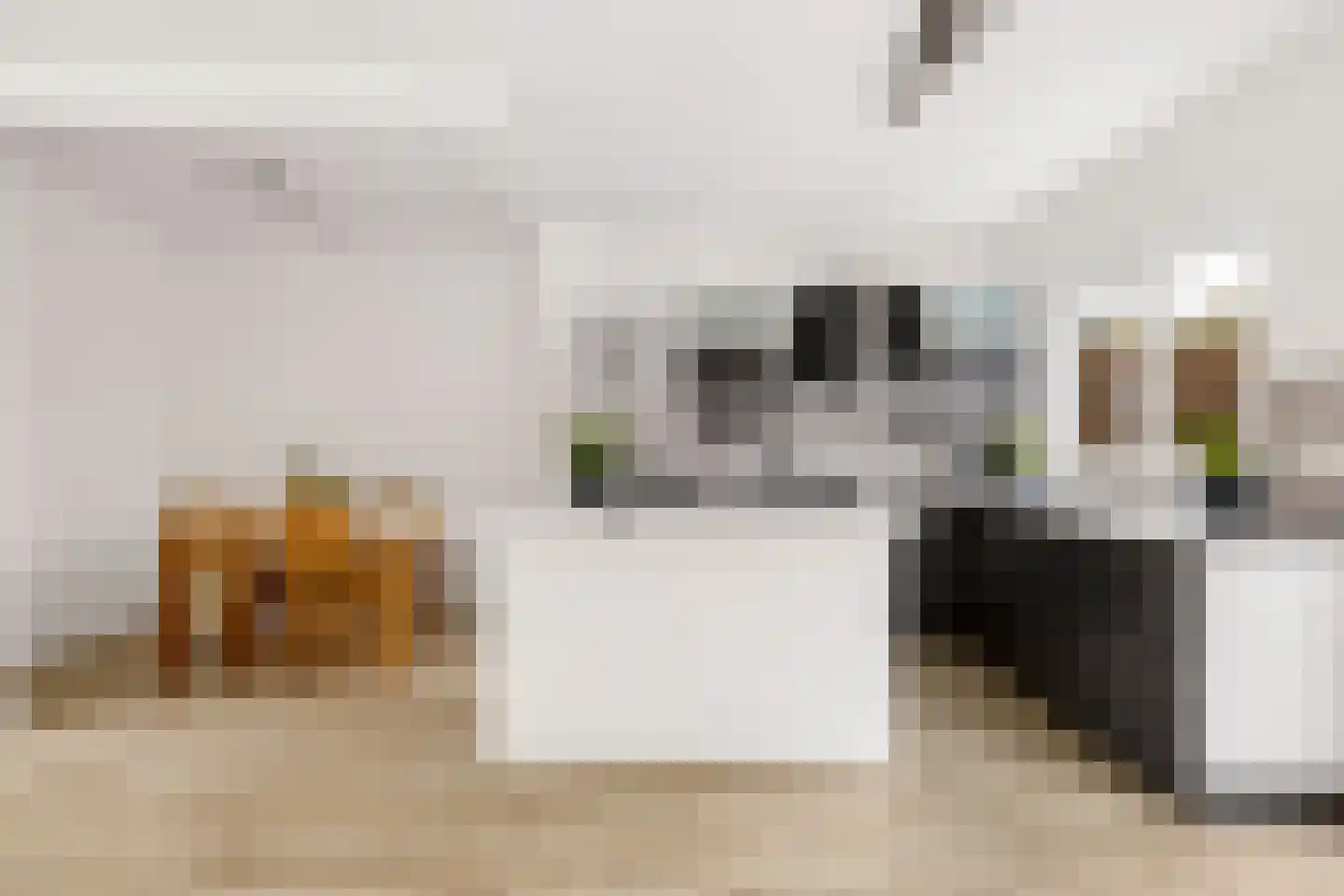 De Louterlaan 10 Utrecht thumbnail 7