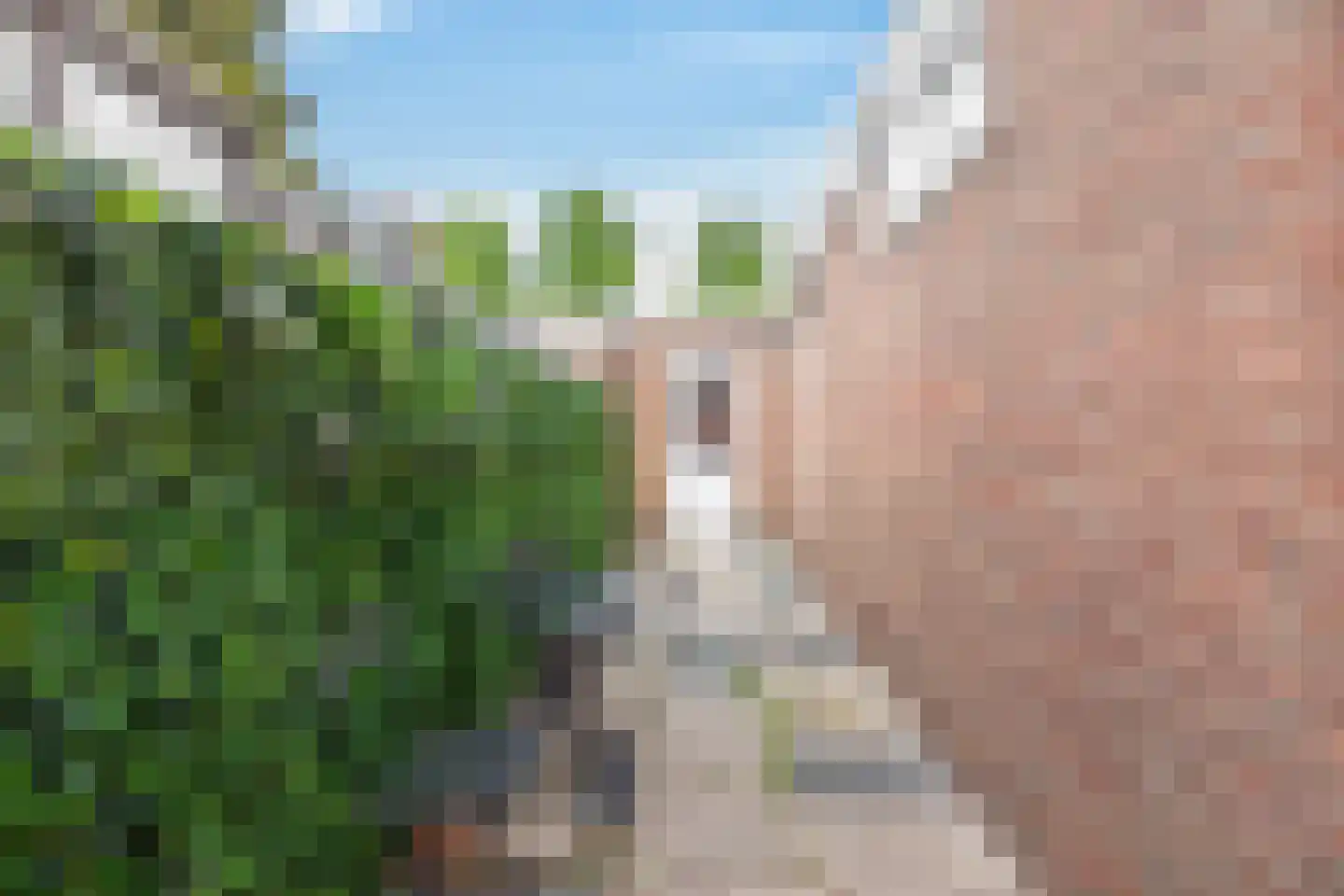 De Louterlaan 14 Utrecht thumbnail 13