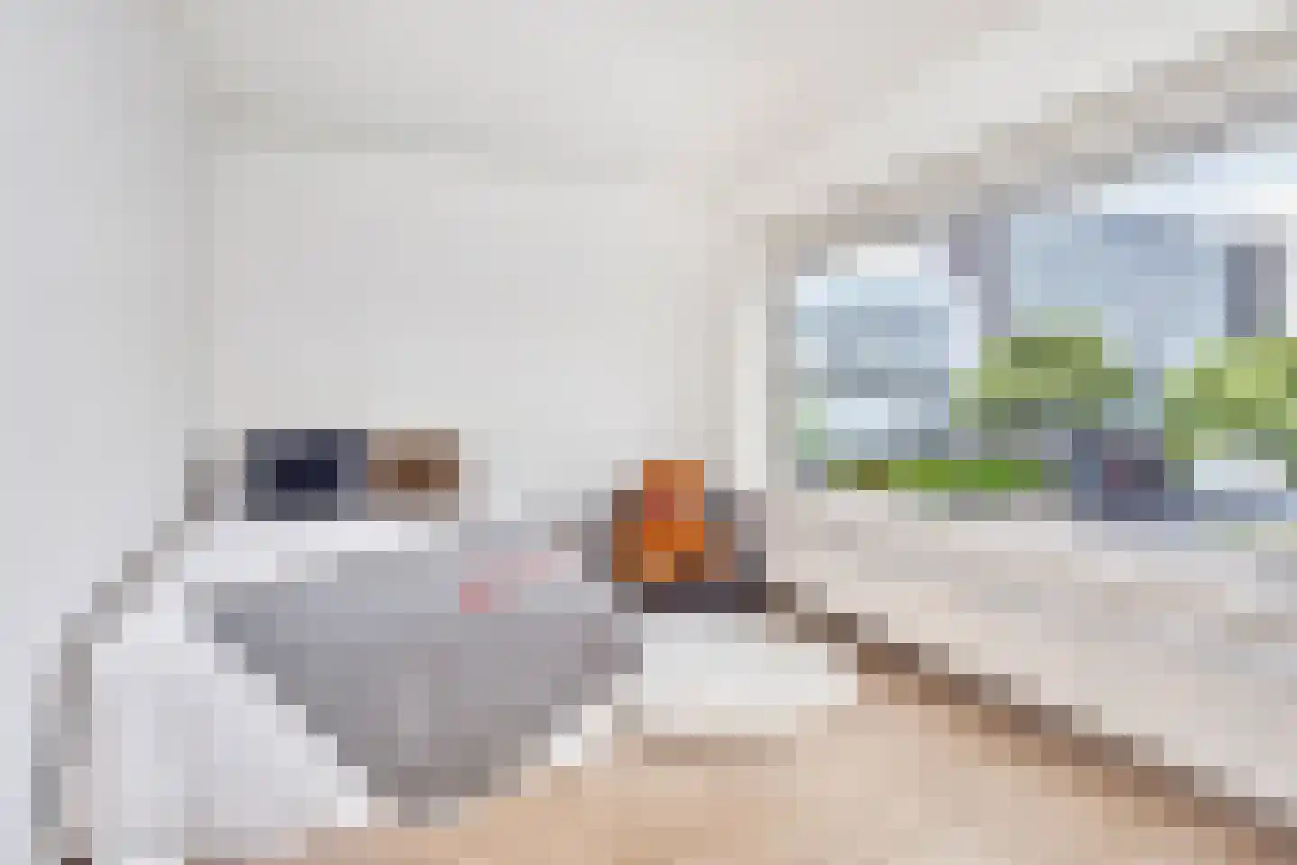 De Louterlaan 14 Utrecht thumbnail 19