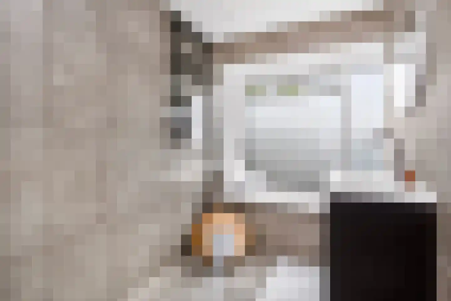 De Louterlaan 14 Utrecht thumbnail 23