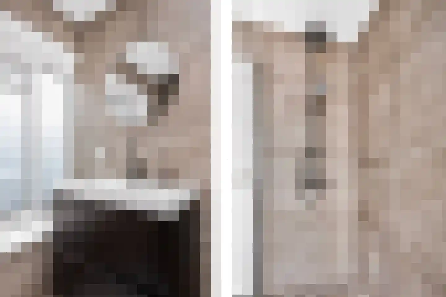 De Louterlaan 14 Utrecht thumbnail 24