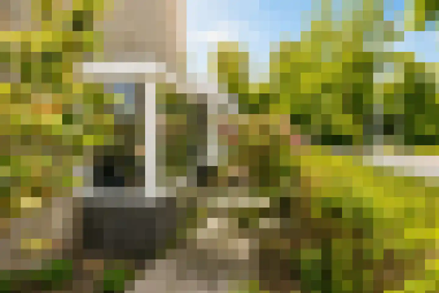 De Louterlaan 14 Utrecht thumbnail 25
