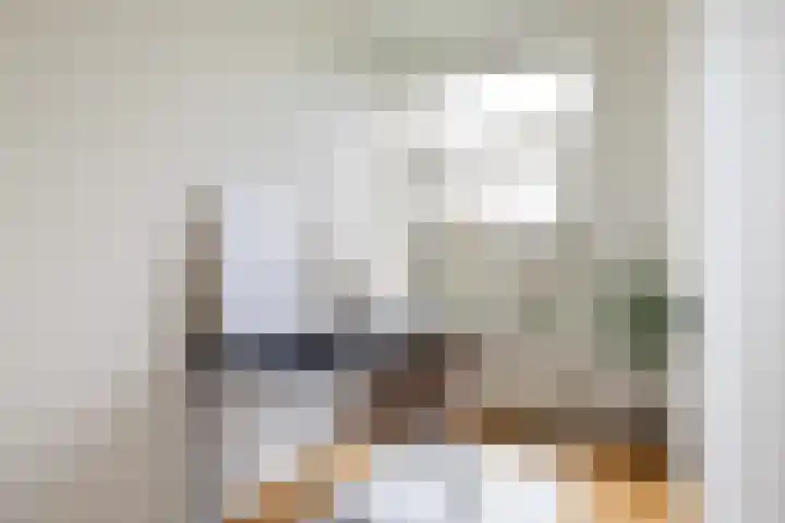 De Louterlaan 33 Utrecht thumbnail 14