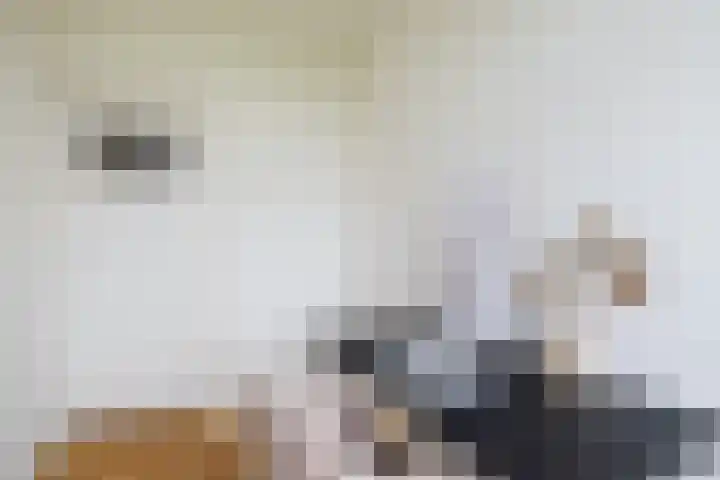De Louterlaan 33 Utrecht thumbnail 15