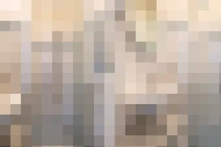 De Louterlaan 33 Utrecht thumbnail 20