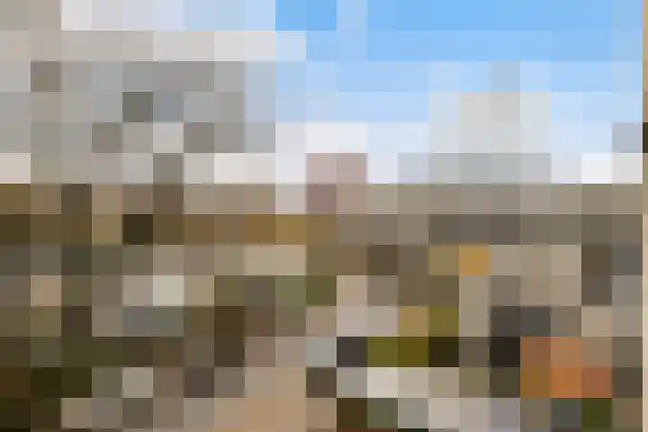 De Louterlaan 33 Utrecht thumbnail 25