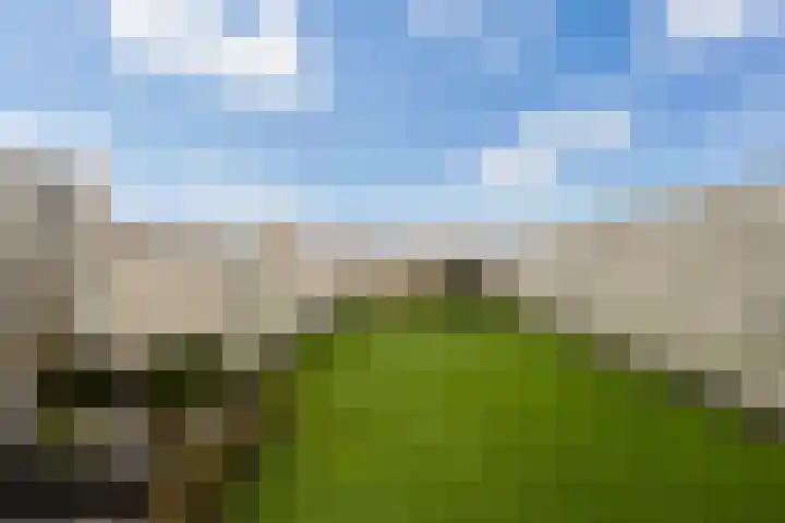 De Louterlaan 33 Utrecht thumbnail 28