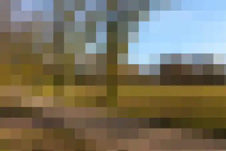De Louterlaan 33 Utrecht thumbnail 31