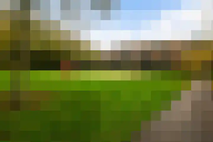 De Louterlaan 33 Utrecht thumbnail 33
