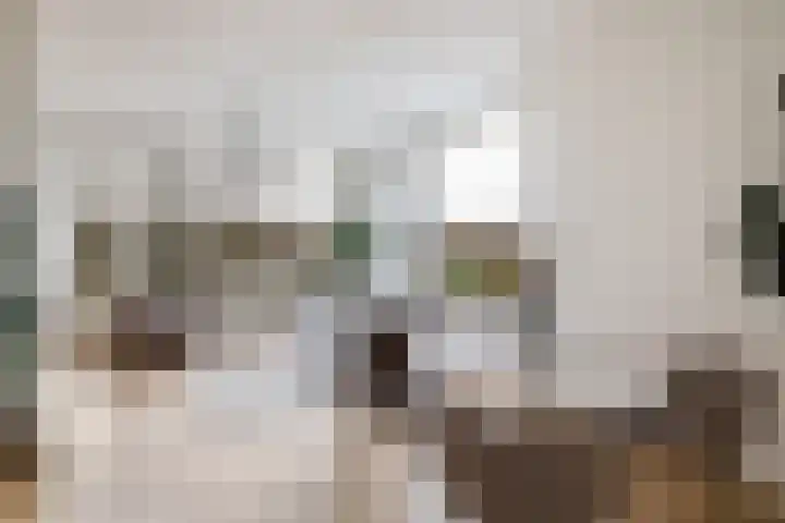 De Louterlaan 33 Utrecht thumbnail 4