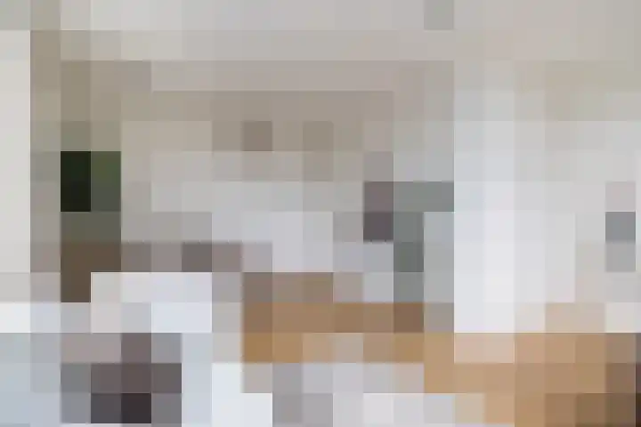 De Louterlaan 33 Utrecht thumbnail 5