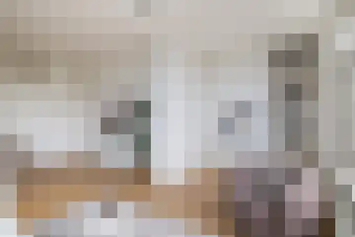 De Louterlaan 33 Utrecht thumbnail 7