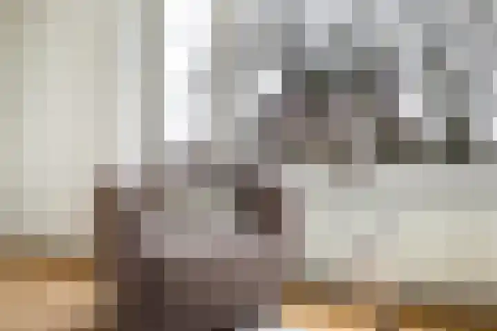 De Louterlaan 33 Utrecht thumbnail 8