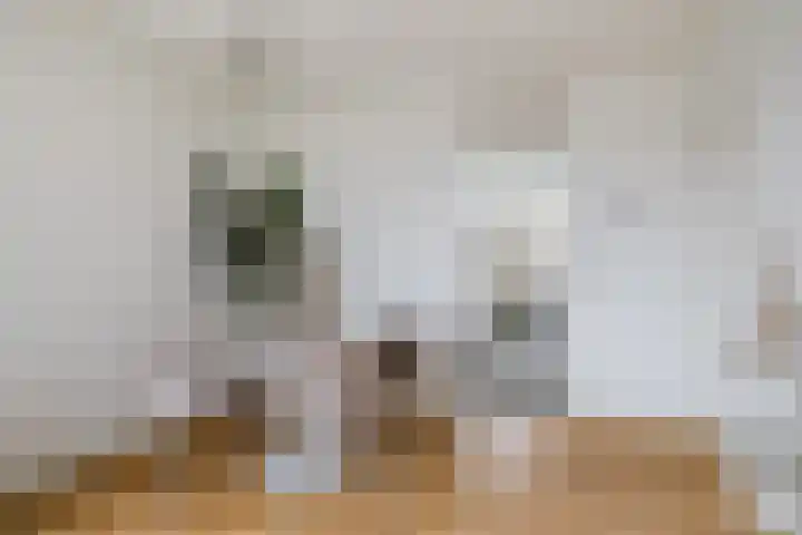 De Louterlaan 33 Utrecht thumbnail 9