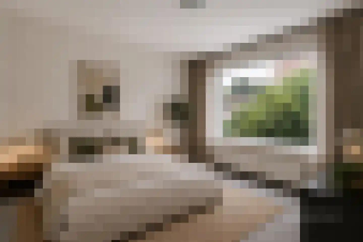 De Louterlaan 4 Utrecht thumbnail 19
