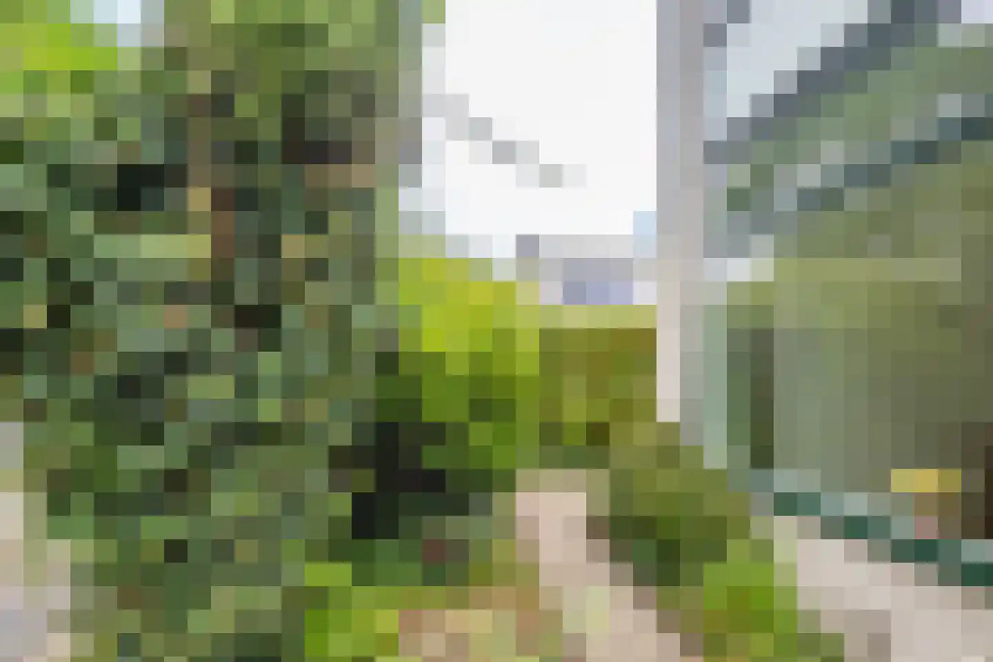 De Louterlaan 4 Utrecht thumbnail 34