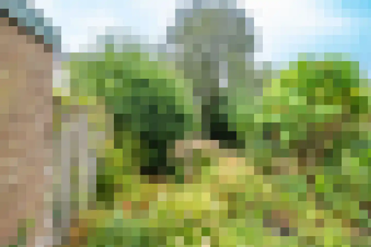 De Louterlaan 4 Utrecht thumbnail 38