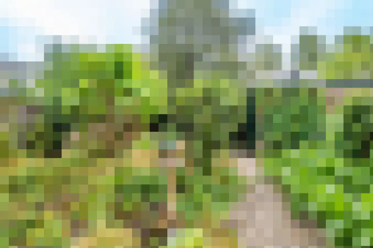 De Louterlaan 4 Utrecht thumbnail 4