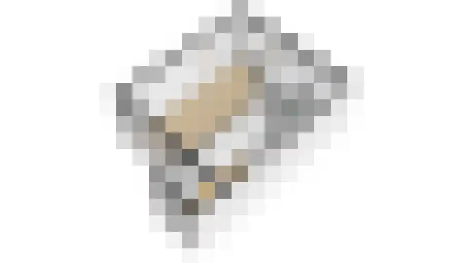 De Louterlaan 4 Utrecht thumbnail 43