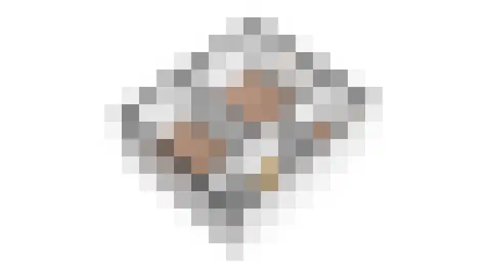 De Louterlaan 4 Utrecht thumbnail 49
