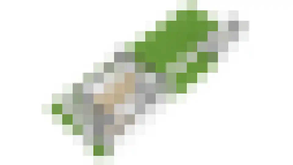 De Louterlaan 4 Utrecht thumbnail 52