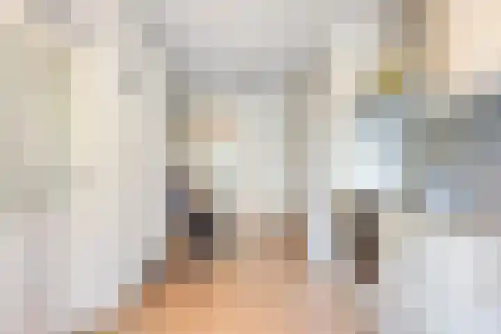de Louterstraat 4 Eindhoven thumbnail 16