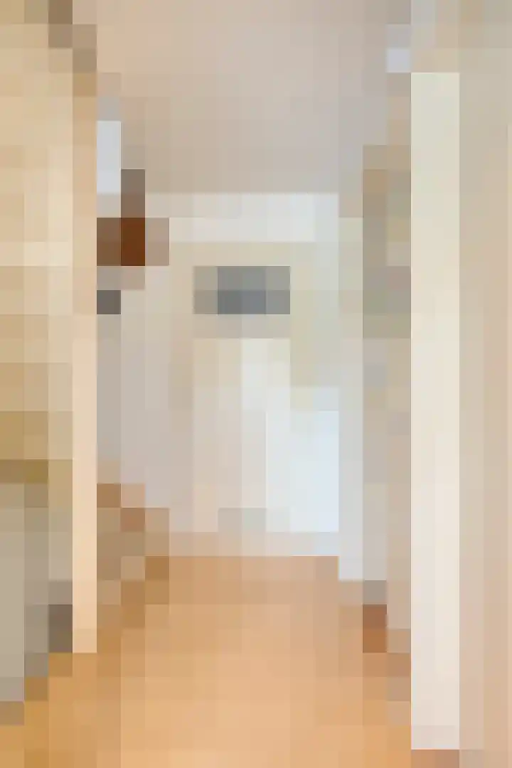de Louterstraat 4 Eindhoven thumbnail 20