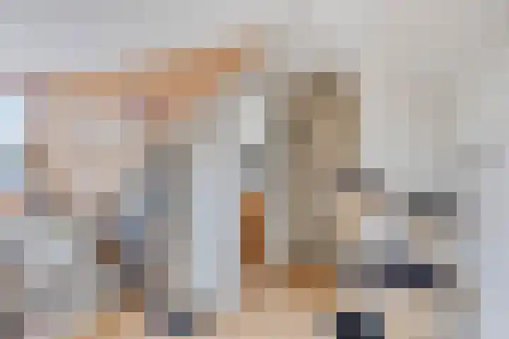 de Louterstraat 4 Eindhoven thumbnail 39