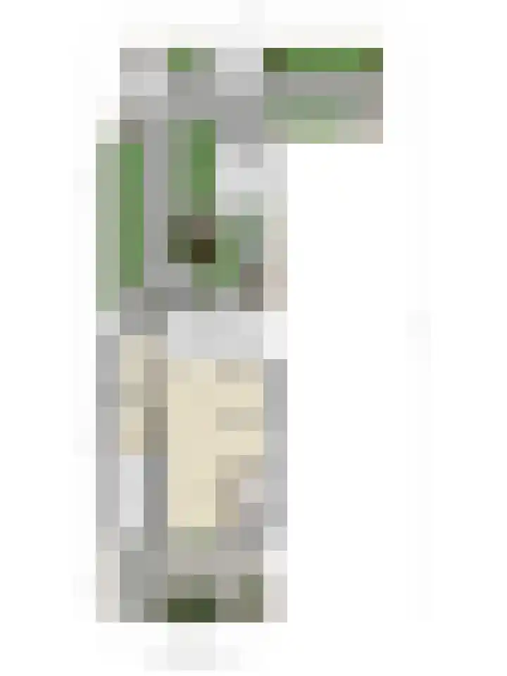 de Louterstraat 4 Eindhoven thumbnail 53