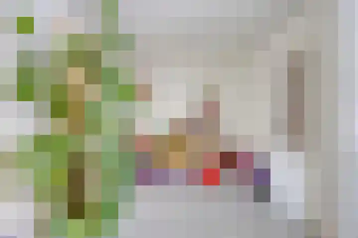 de Louterstraat 4 Eindhoven thumbnail 9